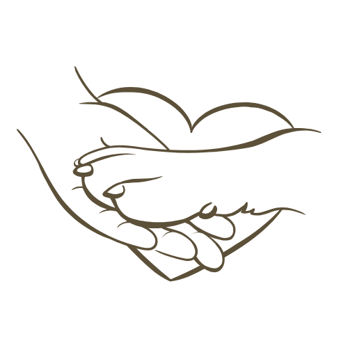 LuismiyElisabeth (3)